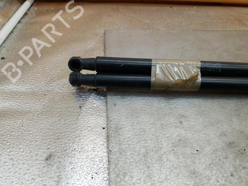 Tailgate lift support NISSAN QASHQAI I (J10, NJ10) 1.5 dCi | BP28613108C138