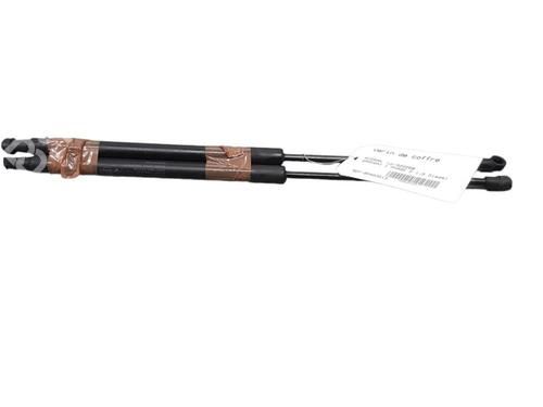 Tailgate lift support NISSAN QASHQAI I (J10, NJ10)  | BP25099699C138 