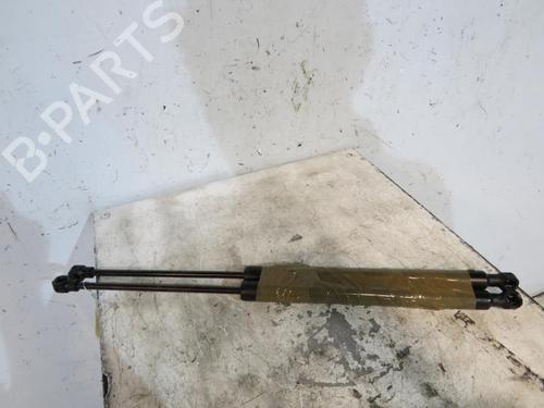 Used Tailgate lift support RENAULT CLIO IV (BH_) 1.5 dCi 75 (75 hp) 25114320