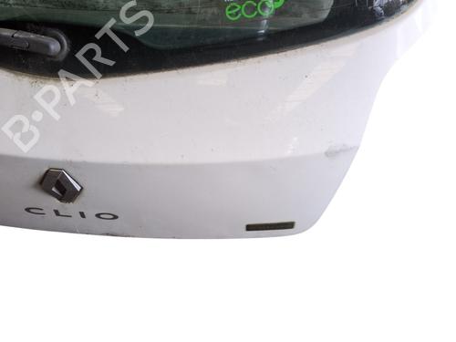 Tailgate RENAULT CLIO III (BR0/1, CR0/1) 1.5 dCi (C/BR0G, C/BR1G) | BP31952861C6 
