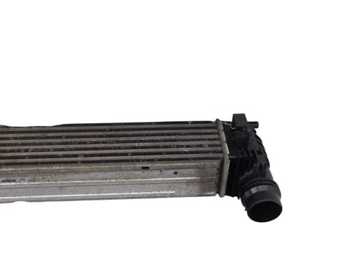 Used Intercooler Intercooler RENAULT MEGANE III Grandtour (KZ0/1) 1.2 TCe (KZ2B, KZ11) (116 hp) 29612016 29612016