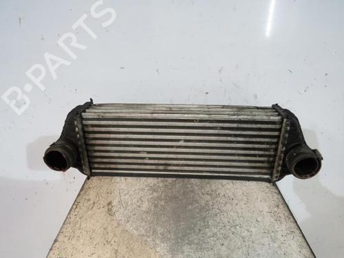 Used Intercooler FORD TRANSIT CONNECT (P65_, P70_, P80_) 1.8 Di (75 hp) 25086233