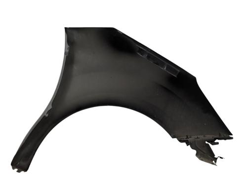 Left front fenders CITROËN C3 II (SC_) 1.2 VTi 82 | BP29508355C41 