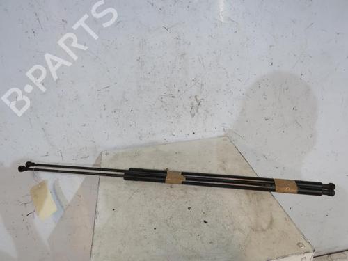 Used Tailgate lift support RENAULT KANGOO / GRAND KANGOO II (KW0/1_) 1.2 TCe 115 (KW02, KW14) (115 hp) 25114244