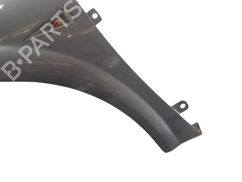 Left front fenders RENAULT MEGANE II (BM0/1_, CM0/1_) 1.4 16V (BM0B, CM0B) | BP25055047C41 