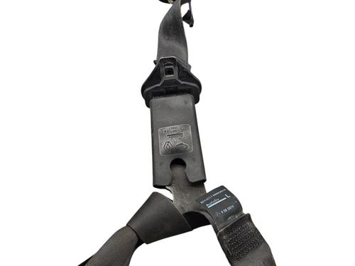 front-left-seatbelt-renault-zoe-bfm_-2012-25768006 main image