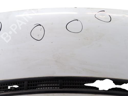 Hood FORD TRANSIT Van (FA_ _) 2.2 TDCi | BP29513711C1 