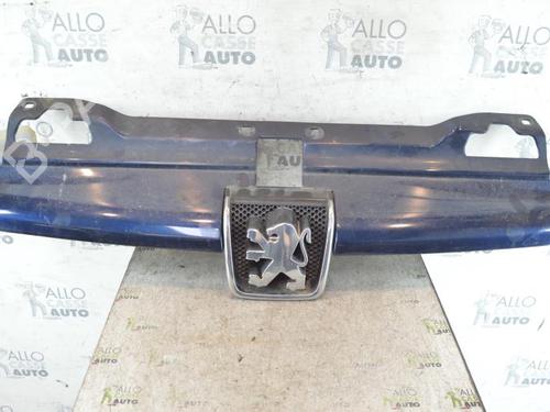 Used Grille PEUGEOT 406 (8B) 1.8 16V (110 hp) 25086998