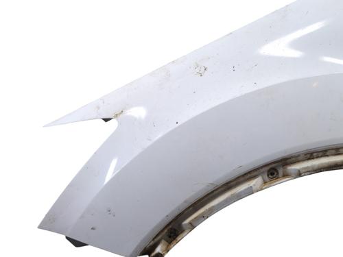 Forskærm venstre FORD KUGA I 2.0 TDCi | BP32029953C41