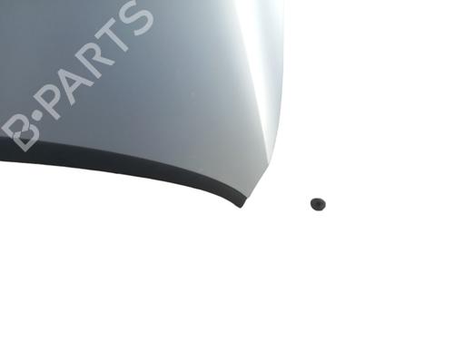 Hood VW GOLF V (1K1)  | BP25055066C1 