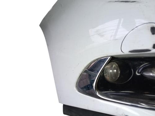 Front bumper RENAULT SCÉNIC III (JZ0/1_) 1.5 dCi (JZ02, JZ0R) | BP29935932C7 