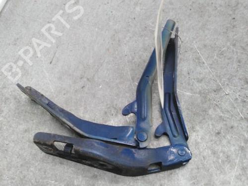 Hinge/Door check strap PEUGEOT 206 Hatchback (2A/C)  | BP25074943C146 