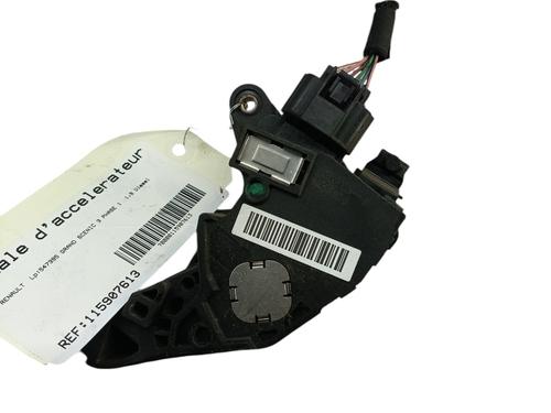 Pedal RENAULT GRAND SCÉNIC III (JZ0/1_) 1.9 dCi (JZ0J, JZ0N, JZ1K, JZ1S) (131 hp) 30543379