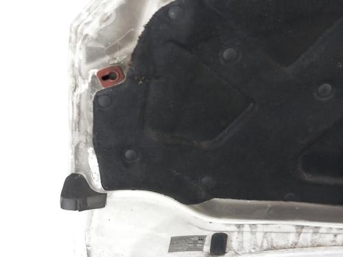 Hood FIAT DOBLO Box Body/MPV (223_)  | BP25102794C1 