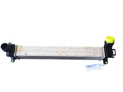 Intercooler RENAULT MEGANE III Hatchback (BZ0/1_, B3_) 1.9 dCi (BZ0N, BZ0J) | BP29431027M30 