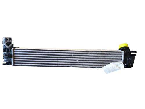 Intercooler RENAULT MEGANE III Hatchback (BZ0/1_, B3_) 1.9 dCi (BZ0N, BZ0J) | BP29431027M30 