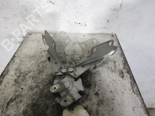 Used Hinge/Door check strap RENAULT LAGUNA II (BG0/1_) 1.9 dCi (BG08, BG0G) (120 hp) 25085652