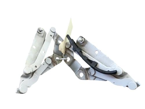 Used Hinge/Door check strap LAND ROVER RANGE ROVER EVOQUE (L538) 2.0 D (150 hp) 25102391