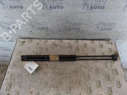 Used Tailgate lift support PEUGEOT 1007 (KM_) 1.6 HDi (109 hp) 25115220