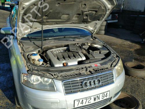 Tailgate lift support AUDI A3 (8P1)  | BP25089706C138 