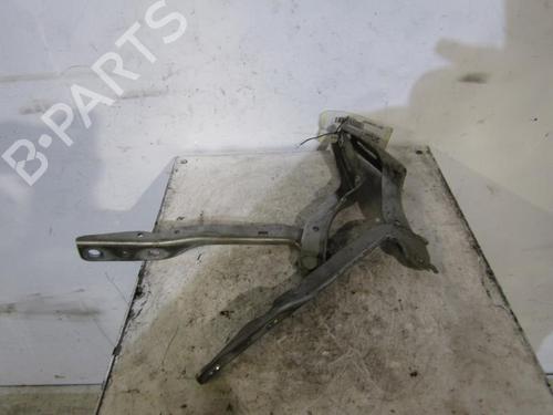 Used Hinge/Door check strap PEUGEOT 307 (3A/C) 1.6 HDi (90 hp) 25090311