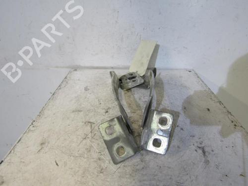 Hinge/Door check strap RENAULT KANGOO Express (FW0/1_) 1.5 dCi 70 (FW0A, KW0V) | BP25064609C146 