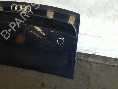 Tailgate AUDI TT Roadster (8N9) 1.8 T | BP25078467C6 