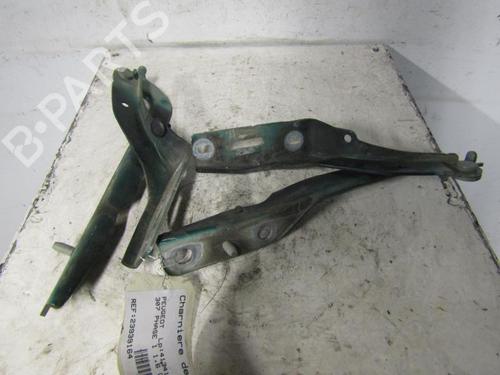 Hinge/Door check strap PEUGEOT 307 (3A/C) 1.6 HDi 110 | BP25106974C146 