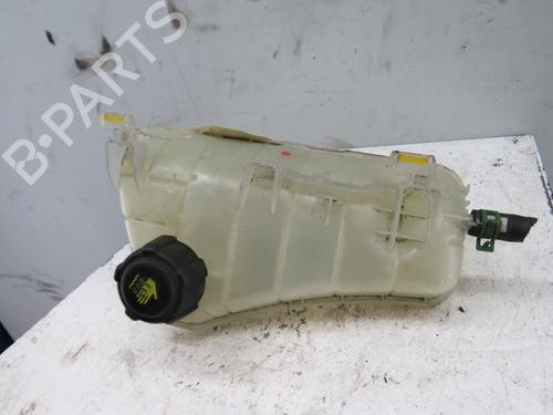 Expansion tank RENAULT KANGOO Express (FW0/1_) 1.5 dCi 70 (FW0A, KW0V) | BP25066245C120 