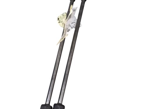 Tailgate lift support NISSAN QASHQAI I (J10, NJ10) 2.0 | BP30677182C138