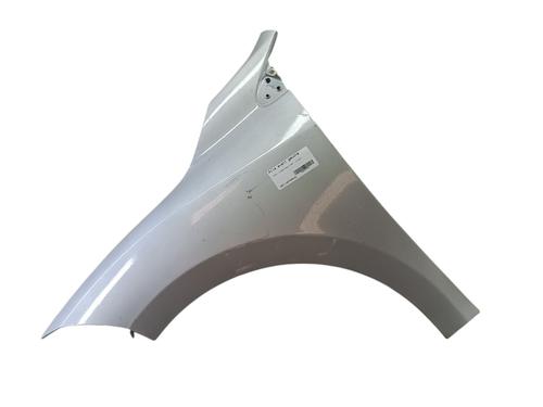 Left front fenders RENAULT MEGANE III Hatchback (BZ0/1_, B3_) 1.5 dCi (BZ09, BZ0D, BZ1W, BZ29, BZ14) | BP26930030C41 