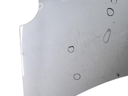 Hood VW POLO IV (9N_, 9A_) 1.9 SDI | BP26527178C1 