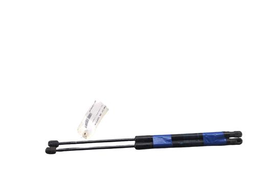 Tailgate lift support DACIA SANDERO 1.4 (BS0C, BS0A, BS0G, BS1F, BS0E) | BP30490574C138