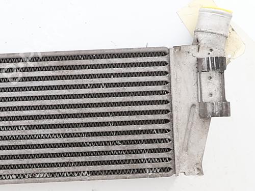 Intercooler Intercooler RENAULT SCÉNIC II (JM0/1_) 1.9 dCi (125 hp) 36401829 36401829