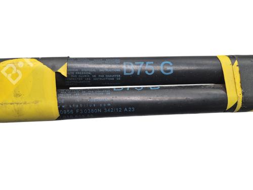Tailgate lift support CITROËN DS4 (NX_) 1.6 HDi 115 | BP29222068C138 