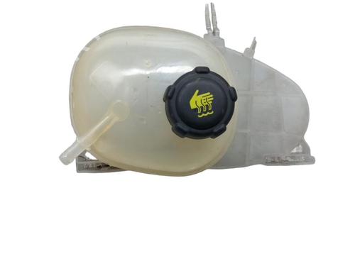 Expansion tank RENAULT TWINGO III (BCM_, BCA_)  | BP25062041C120 