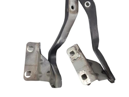 Hinge/Door check strap NISSAN QASHQAI / QASHQAI +2 I (J10, NJ10, JJ10E)  | BP25054192C146 