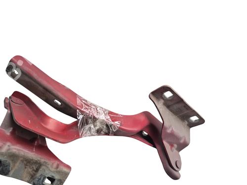 Hinge/Door check strap NISSAN QASHQAI I (J10, NJ10) 1.5 dCi | BP29180627C146 