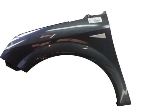 Left front fenders RENAULT SCÉNIC II (JM0/1_)  | BP25072788C41 