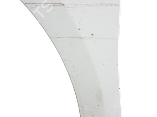 Used Left front fenders RENAULT MEGANE III Hatchback (BZ0/1_, B3_) 1.5 dCi (86 hp) 25099548