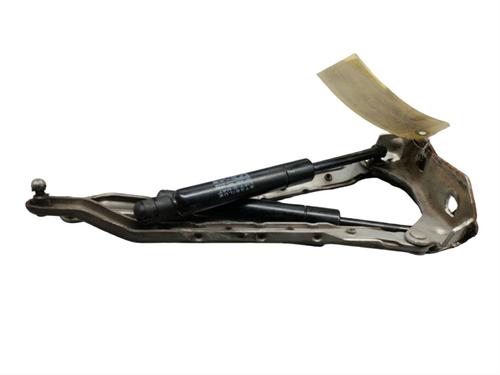 Hinge/Door check strap MERCEDES-BENZ M-CLASS (W163) ML 55 AMG (163.174) 1638800328