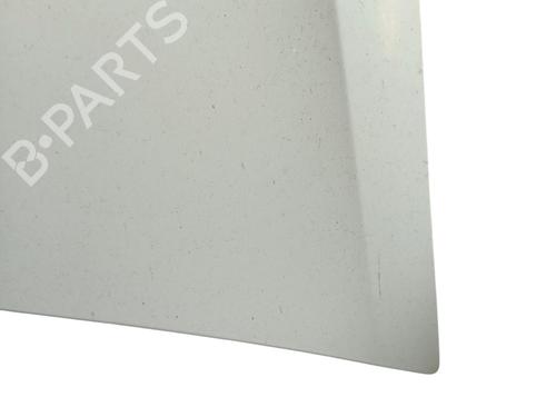 Hood RENAULT MASTER III Van (FV) 2.3 dCi 130 FWD (FV0M, FV0Y, FV0J, FV02, FV03) | BP29513782C1 