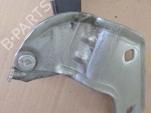 Hinge/Door check strap RENAULT CLIO III (BR0/1, CR0/1) 1.6 16V (BR09, BR0T, CR09, CR0T) | BP25101351C146 