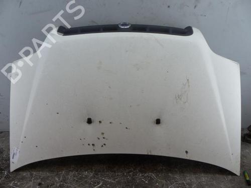 Used Hood FIAT DOBLO Box Body/MPV (223_) 1.9 JTD (223ZXE1A) (100 hp) 25108809