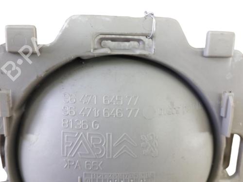 Front left interior door handle CITROËN C3 I (FC_, FN_)  | BP25099702I13 