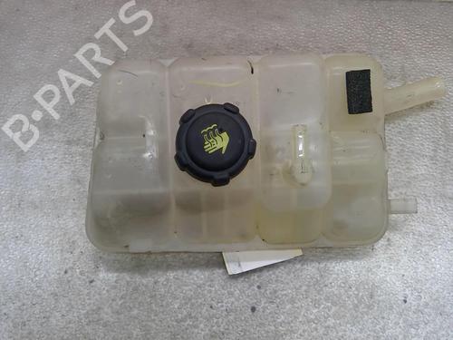 Used Expansion tank RENAULT MEGANE IV Hatchback (B9A/M/N_) 1.6 dCi 130 (B9A4) (130 hp) 25068049