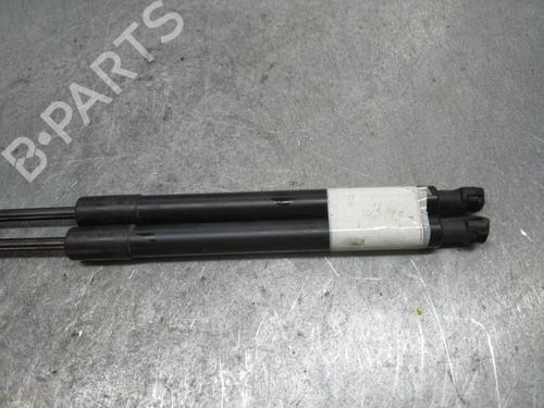 Tailgate lift support CHEVROLET SPARK (M300)  | BP25088729C138 