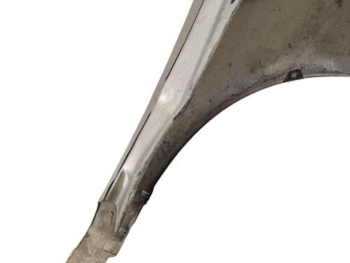 Left front fenders SKODA FABIA I (6Y2)  | BP25098944C41 