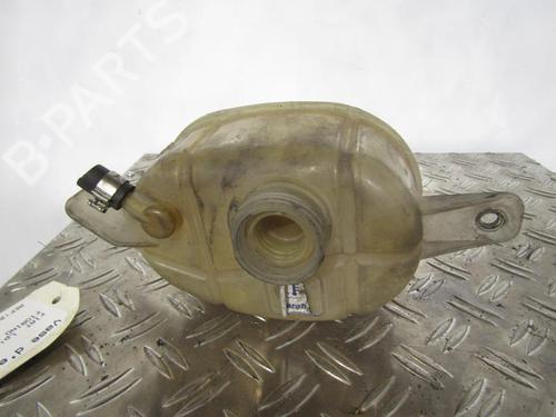 Expansion tank FIAT FIORINO Box Body/MPV (225_) 1.3 D Multijet (225BXD1A, 225BXB1A, 225BXB11) | BP25096088C120 