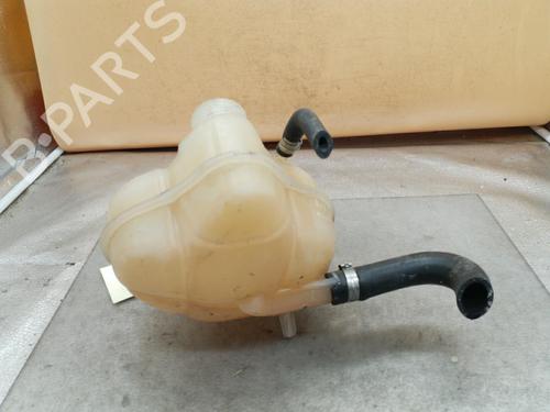 Used Expansion tank FIAT GRANDE PUNTO (199_) 1.2 (65 hp) 25063489